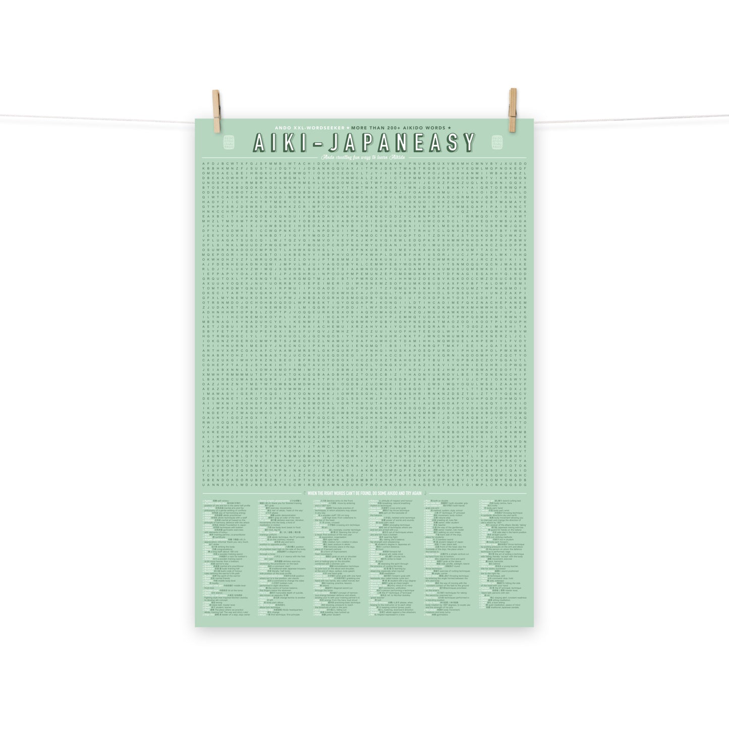 XXL Aikido Puzzle Poster